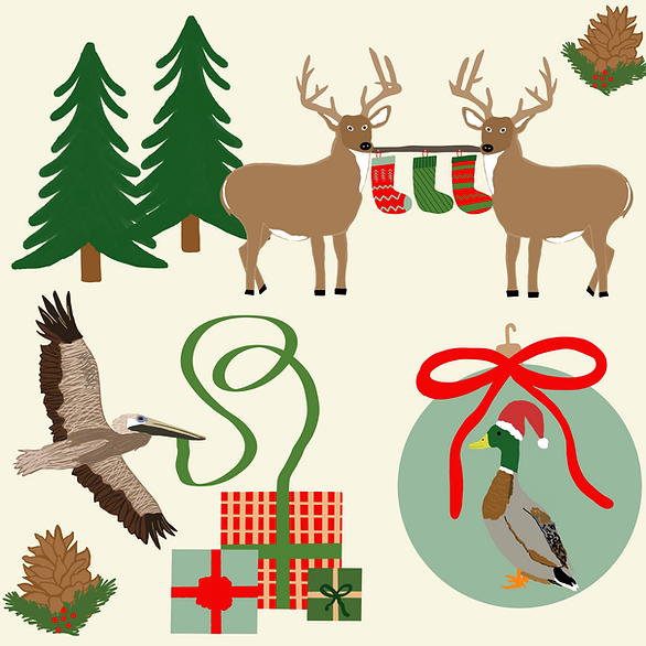 Home for the Holidays Zippy