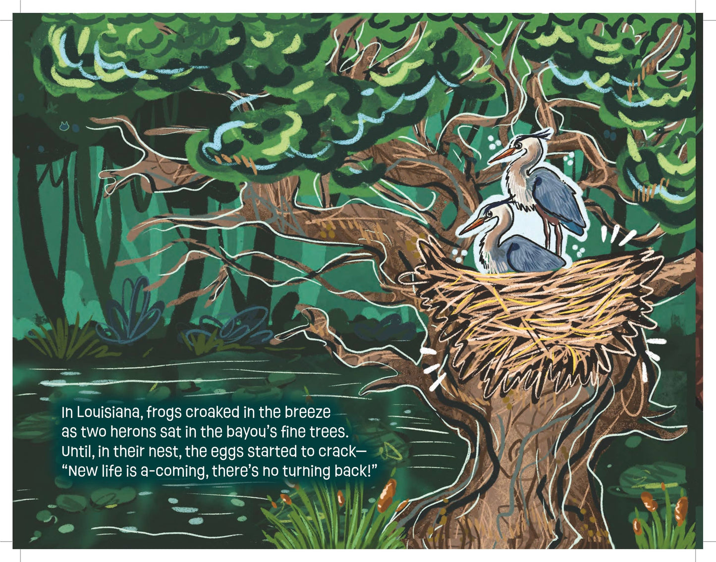 Book - The Little Lost Alligator