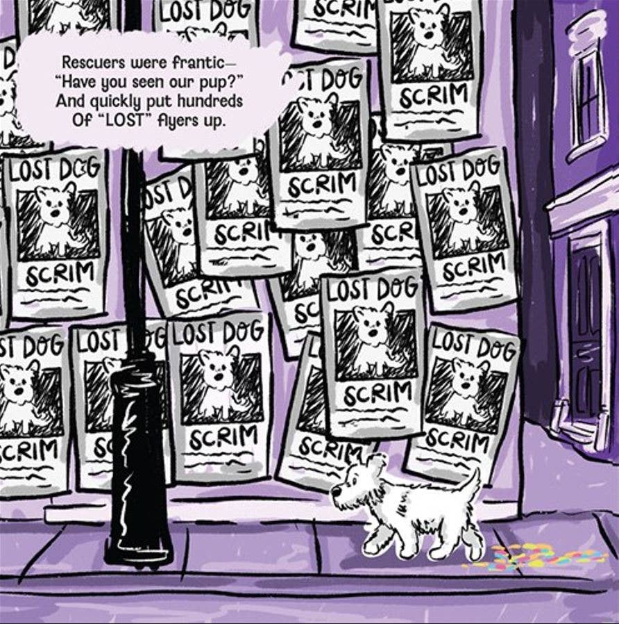 Book - Scrim on the Run!