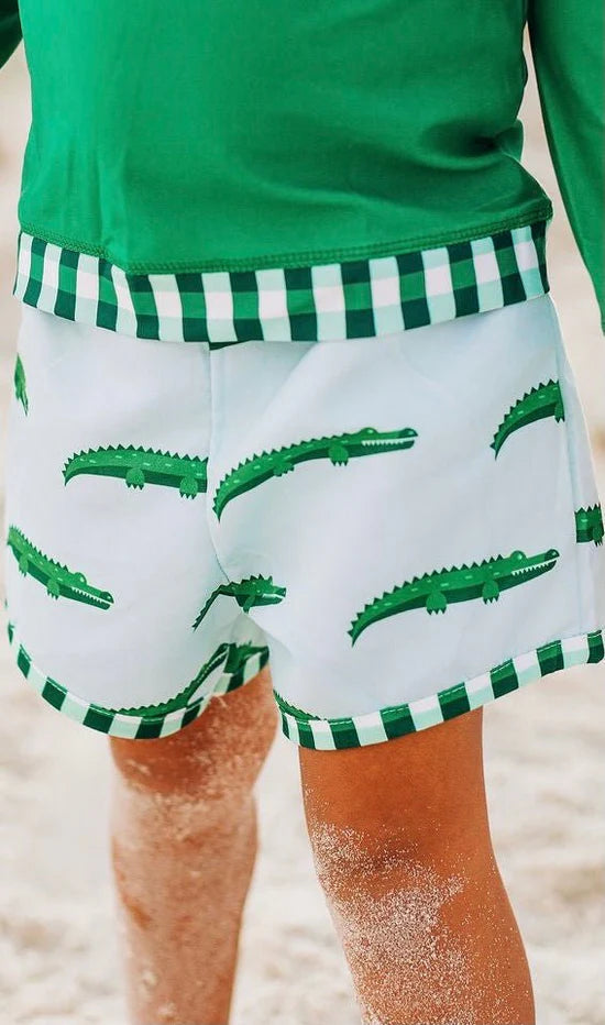 Swim Shorts (5 Colors)