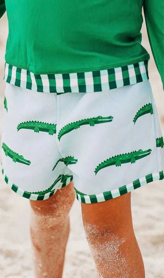 Swim Shorts (5 Colors)