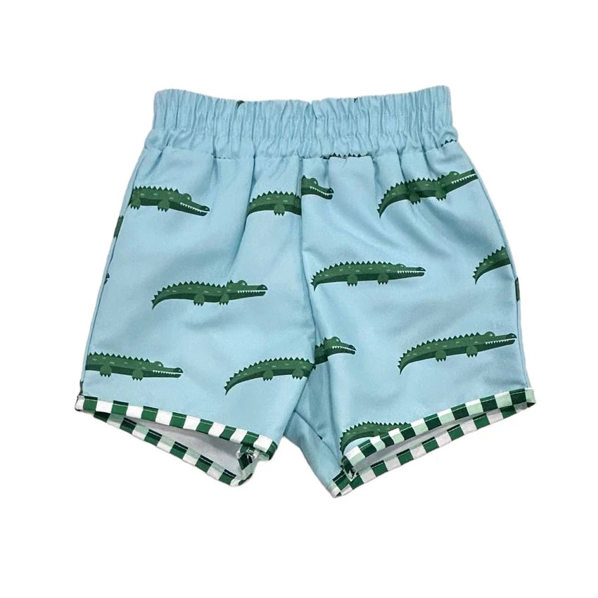 Swim Shorts (5 Colors)