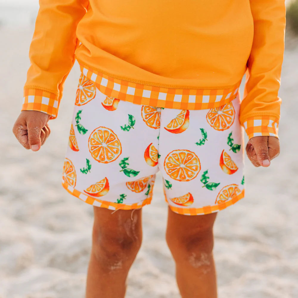 Swim Shorts (5 Colors)