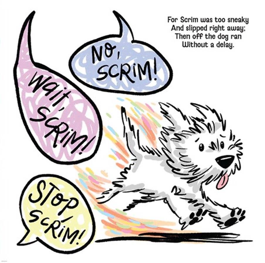 Book - Scrim on the Run!