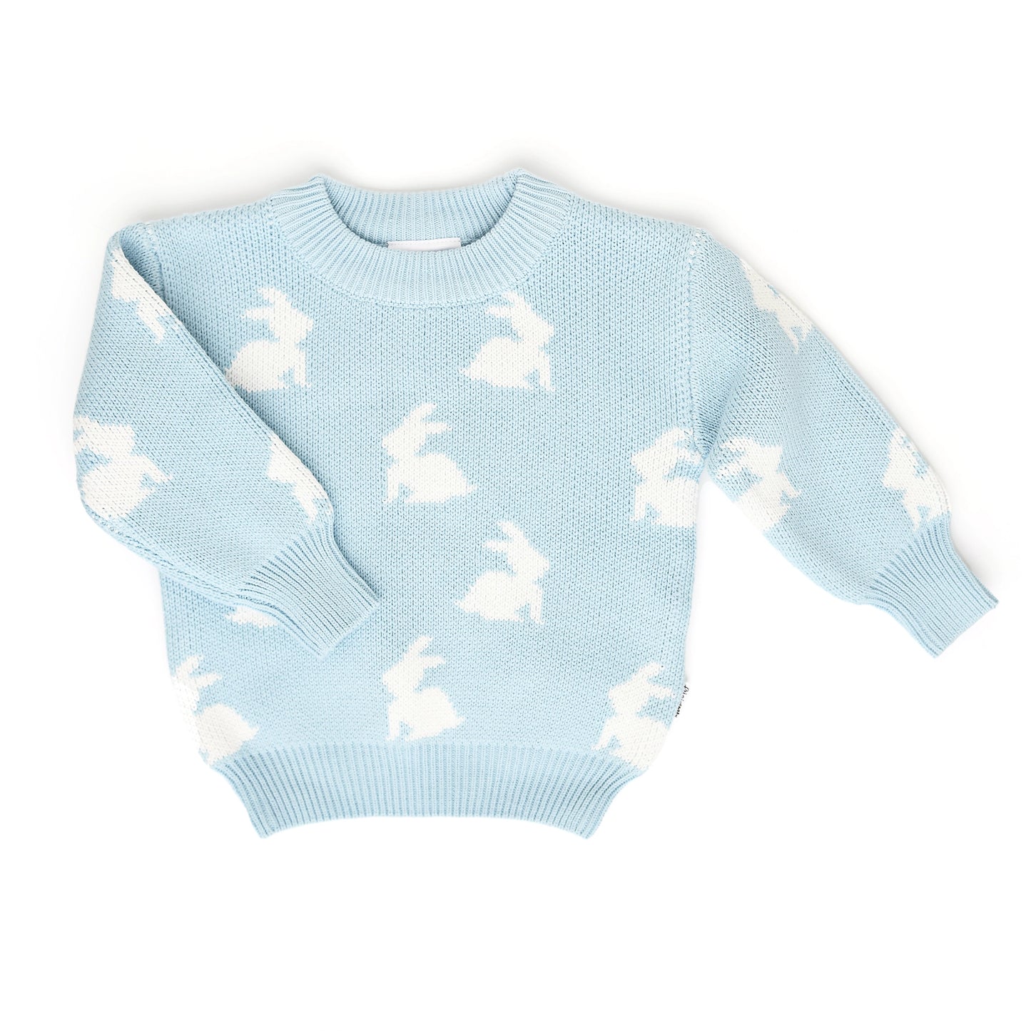 Blue Bunny Sweater