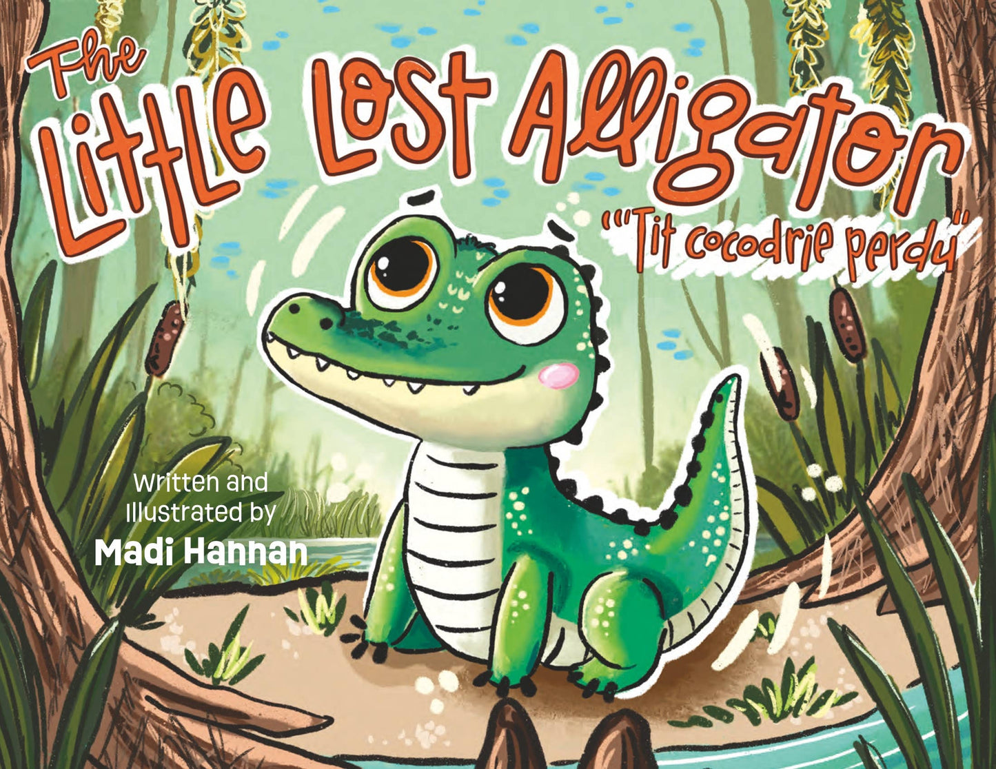 Book - The Little Lost Alligator