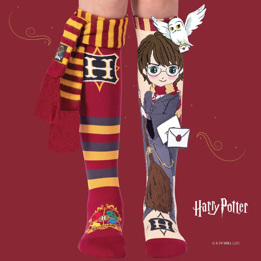Harry Potter Socks 6-99 yrs